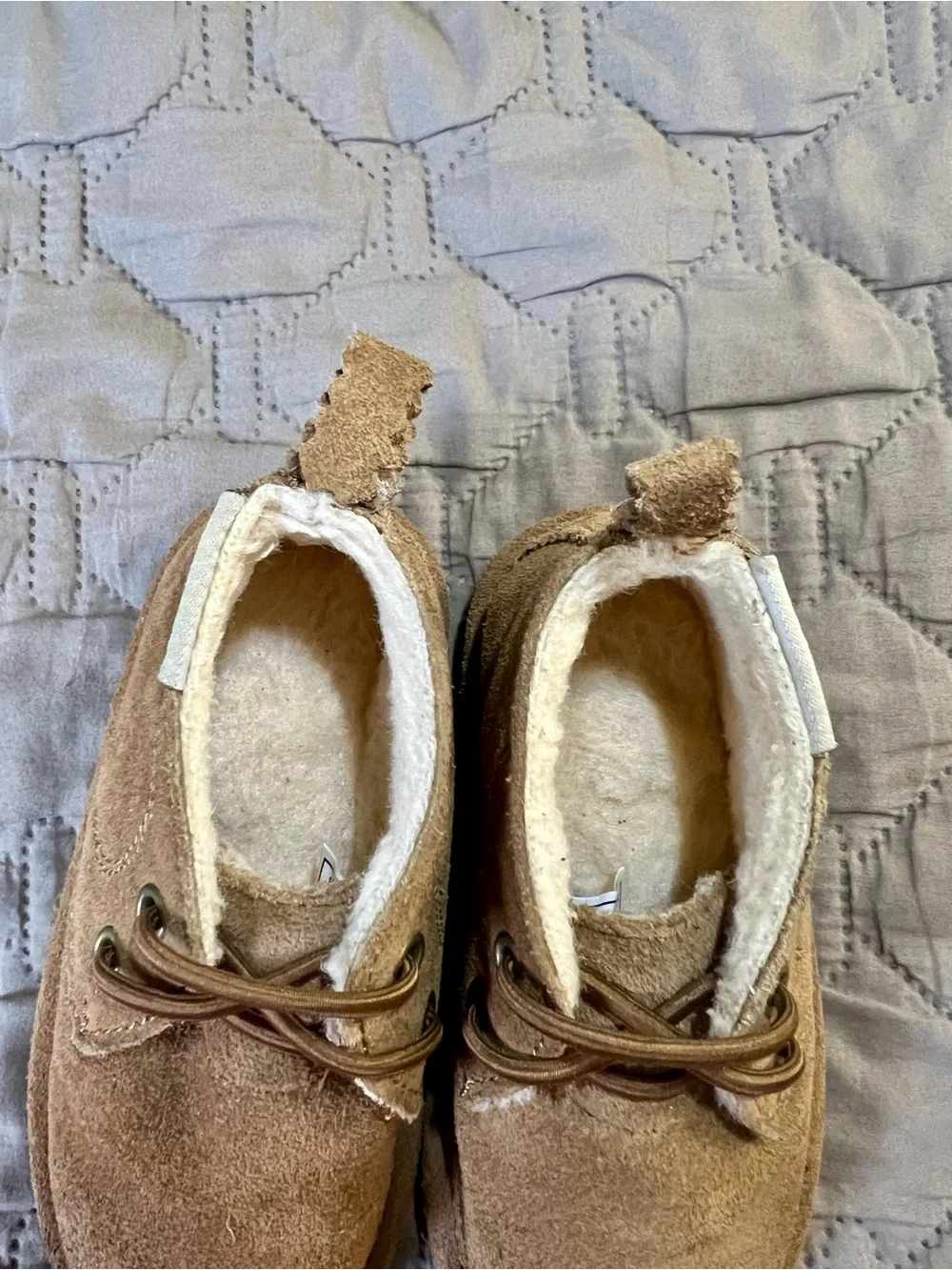 BearPaw play cushioned